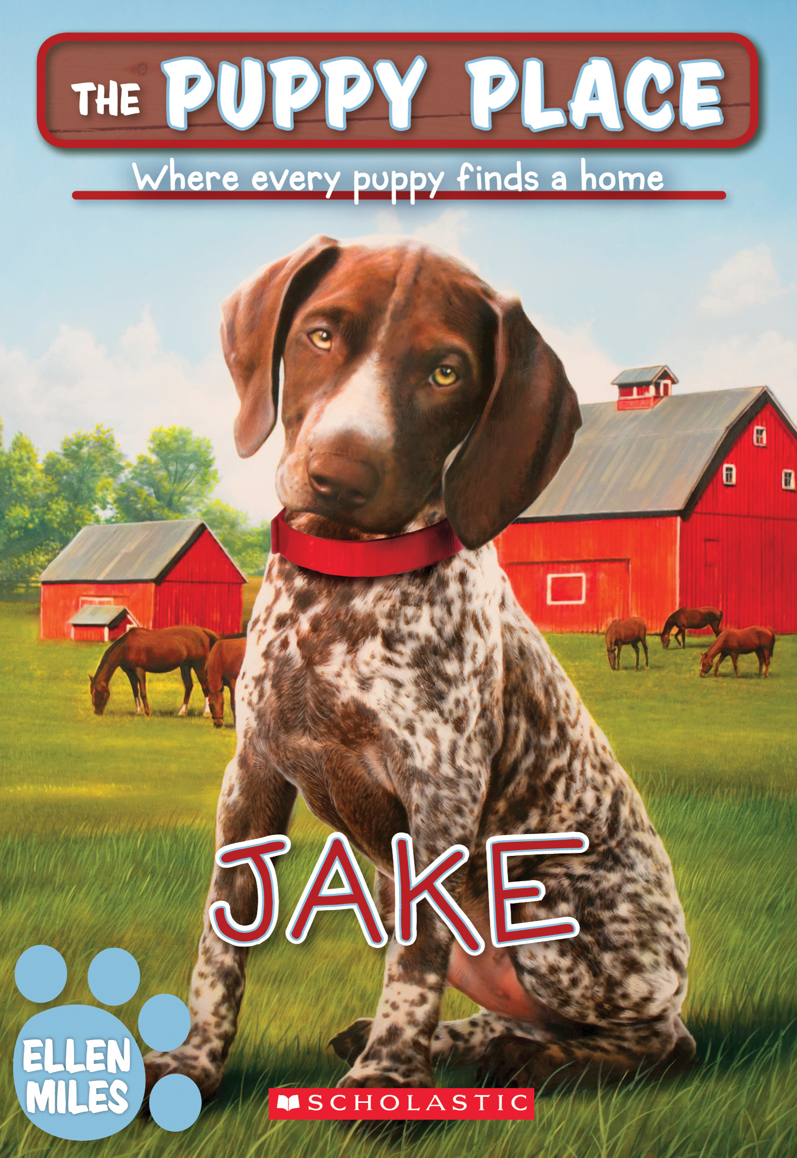 Jake book cover