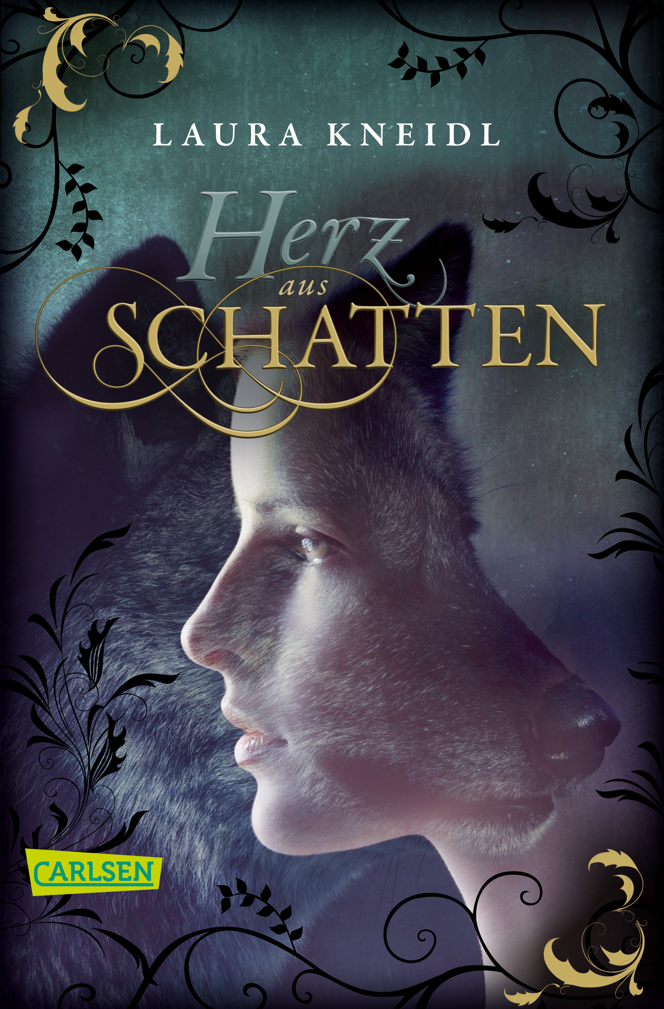 Herz aus Schatten book cover