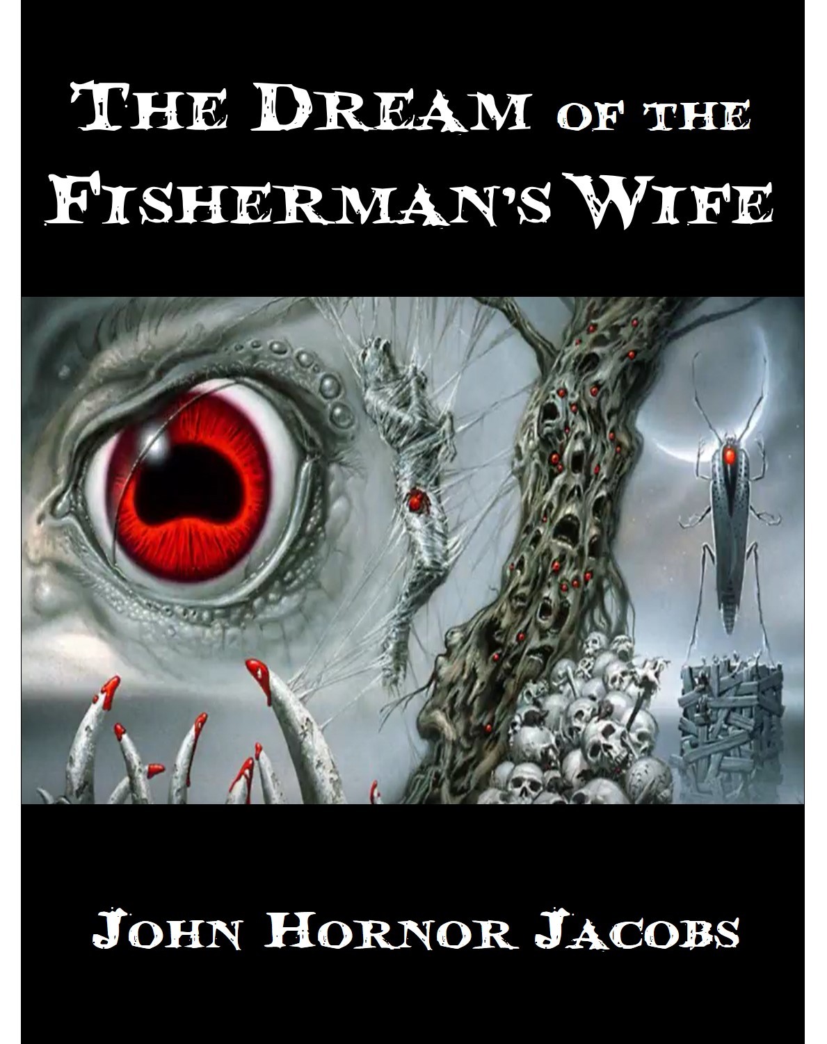 The Dream of the Fisherman’s Wife book cover