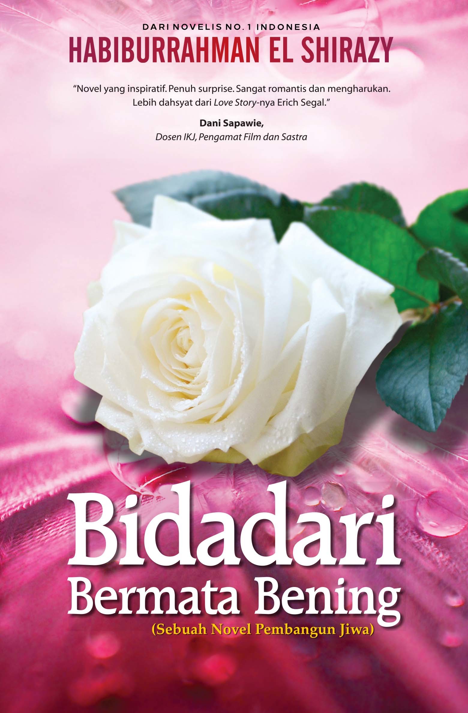 Bidadari Bermata Bening book cover