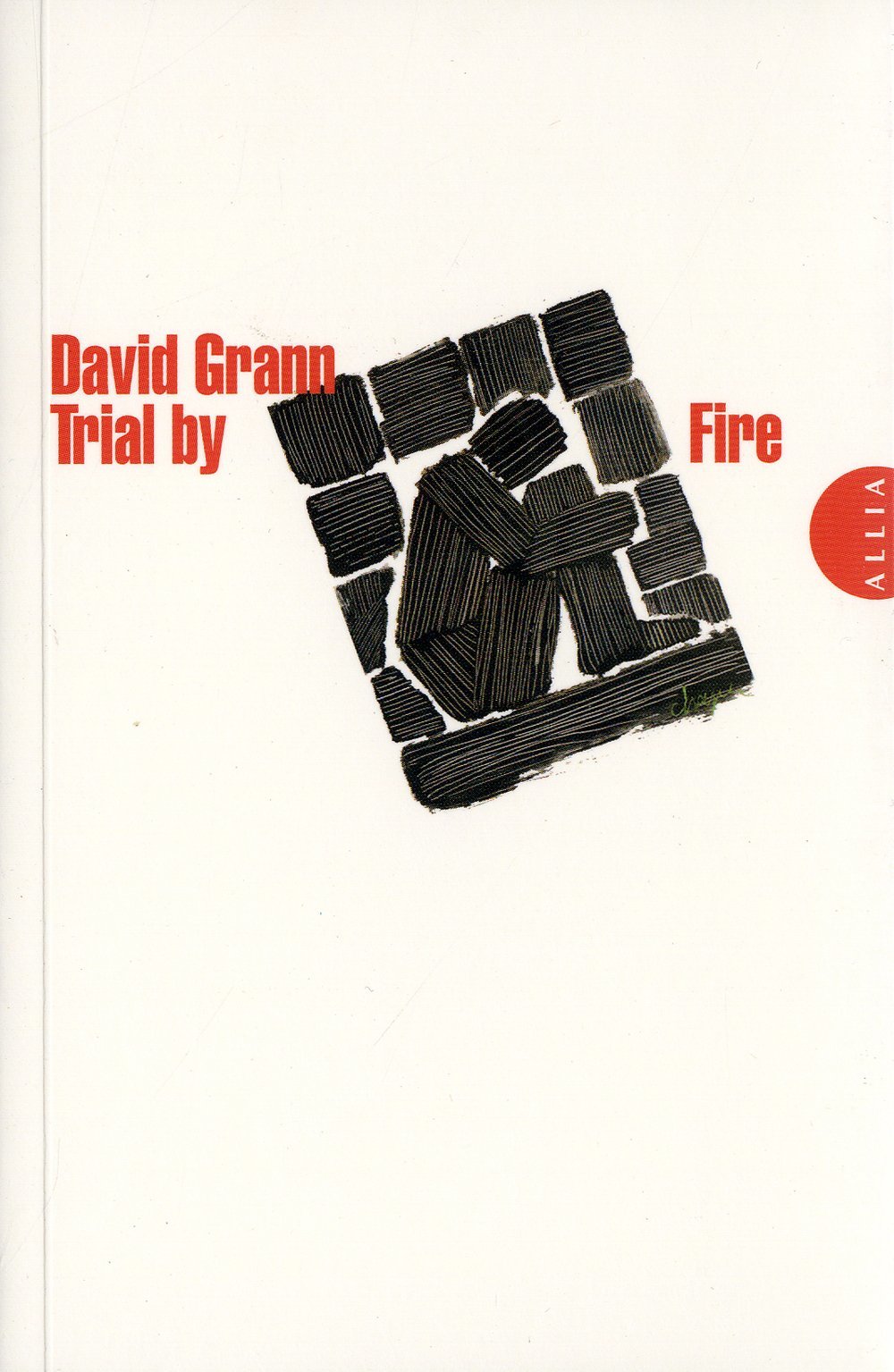 Trial By Fire book cover