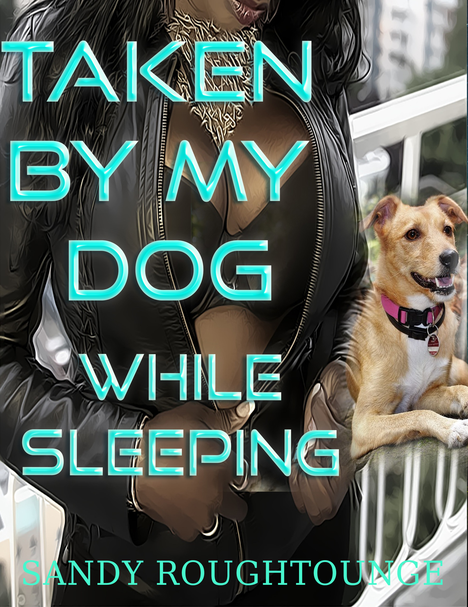 Taken by my Dog While Sleeping by Sandy Roughtounge Goodreads