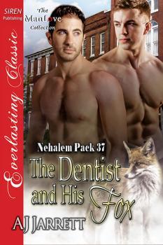 The Dentist and His Fox book cover
