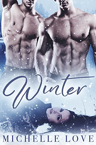Winter book cover