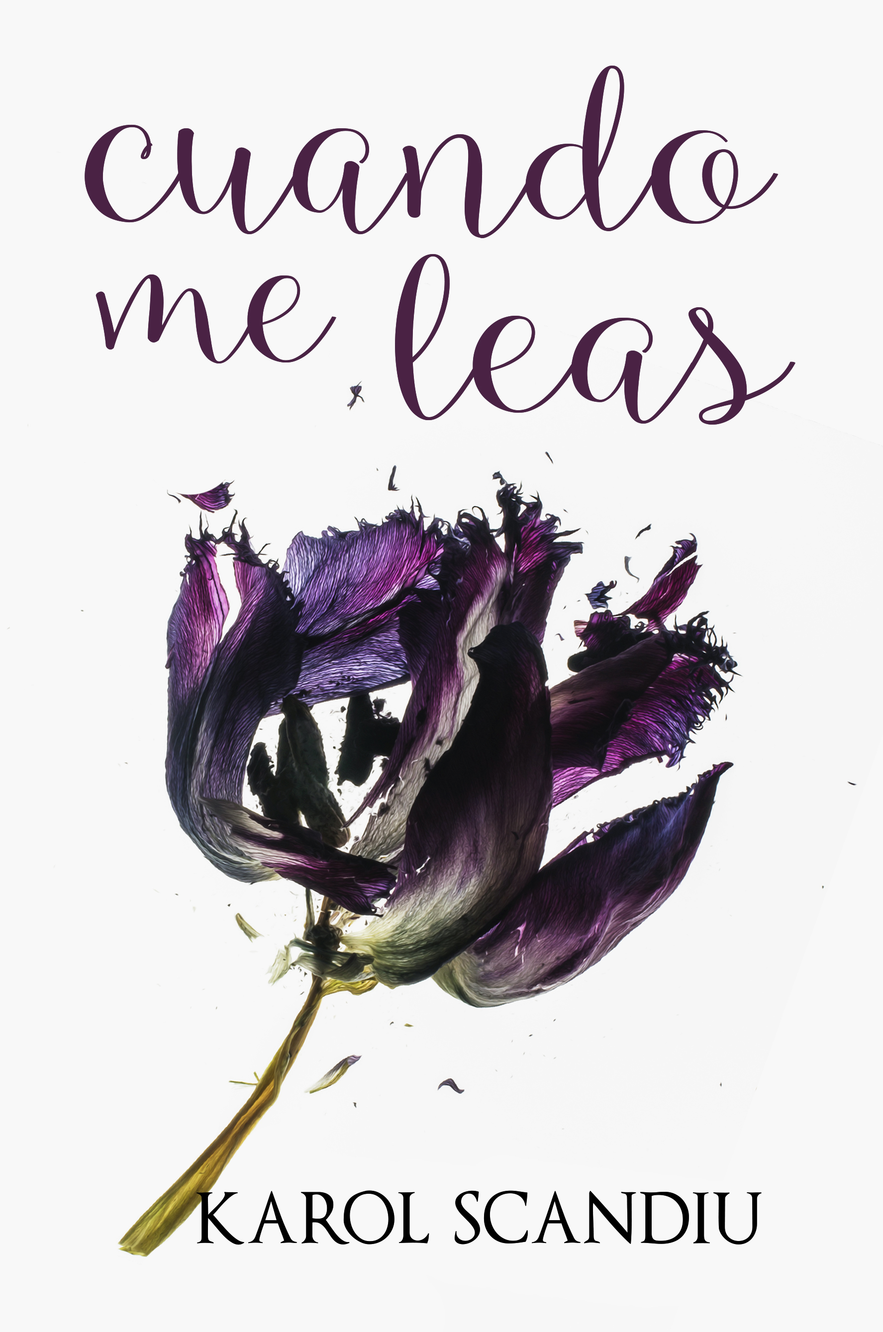 Cuando me leas book cover