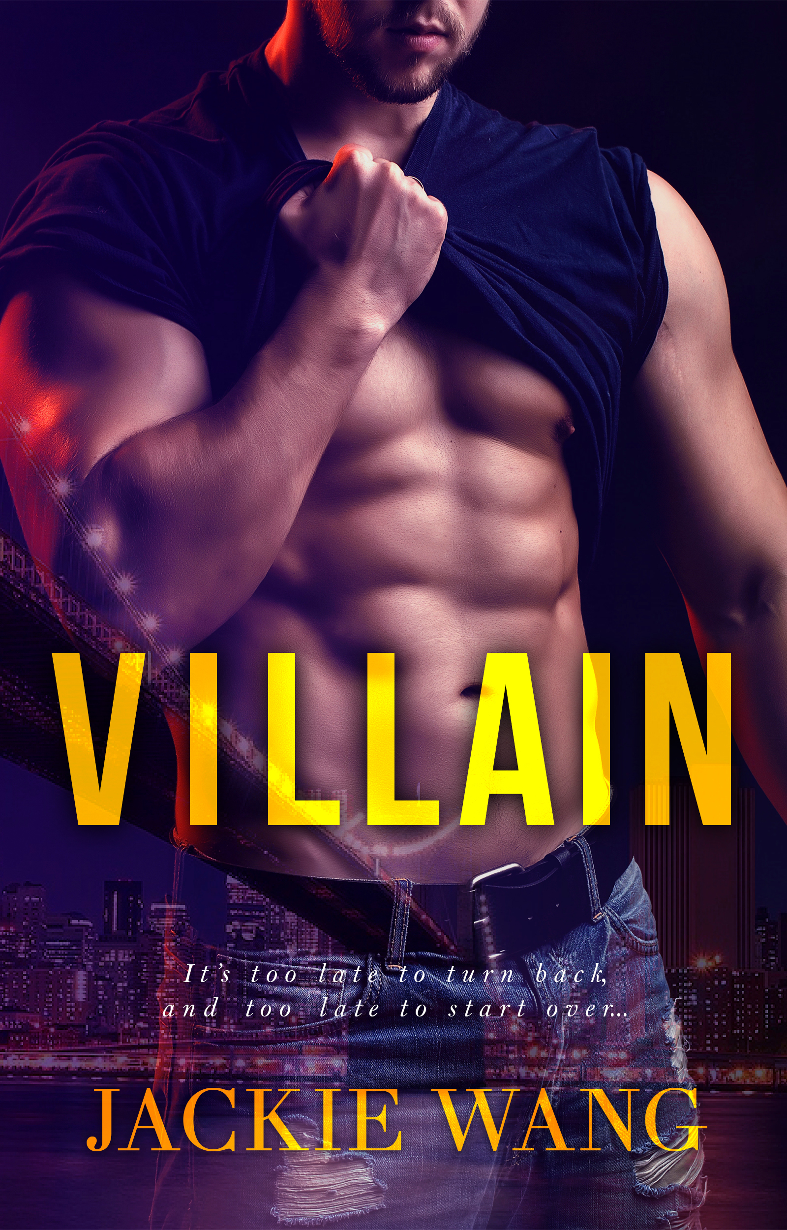Northbridge Nights book cover 3