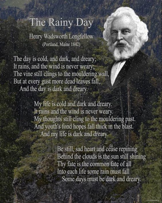 The Rainy Day book cover