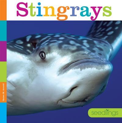 Stingrays book cover