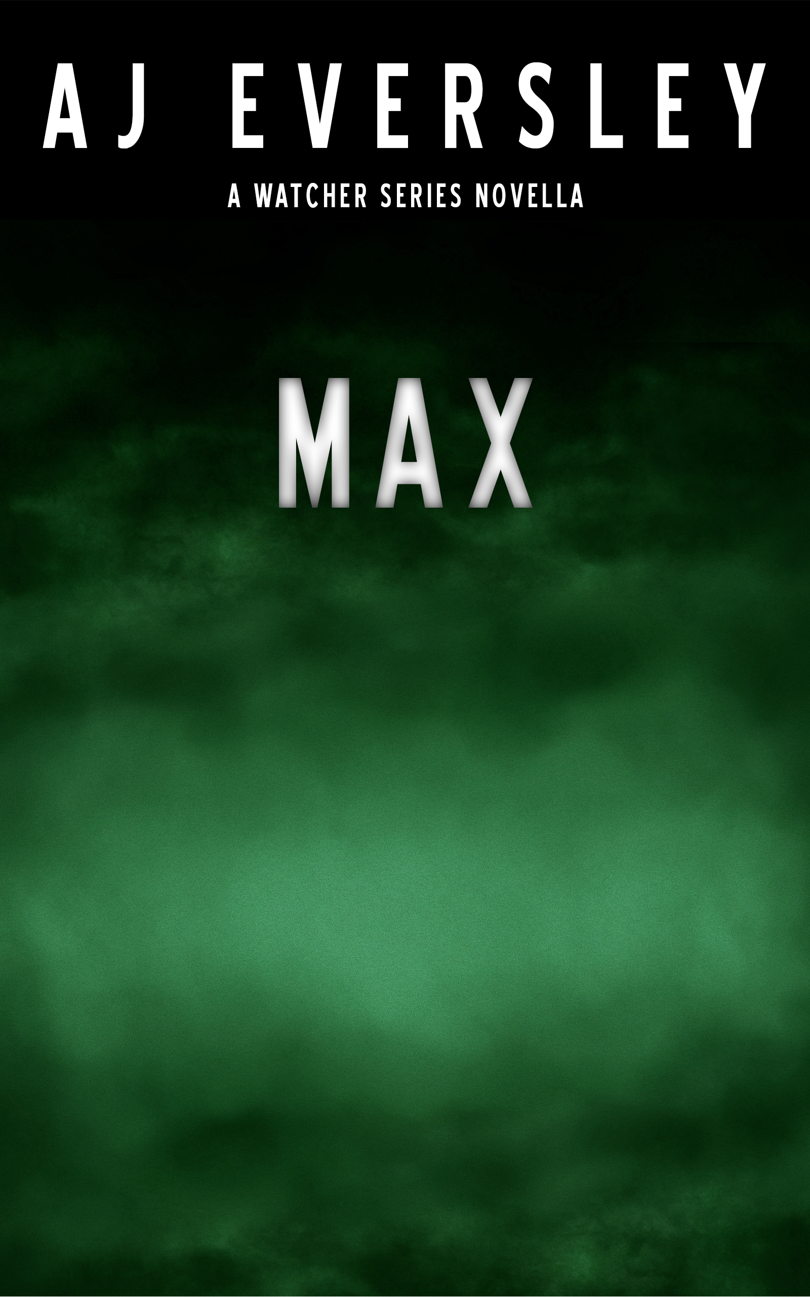 Max book cover