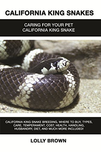 Picture of California King Snakes: California King Snake breeding, where to buy ...
