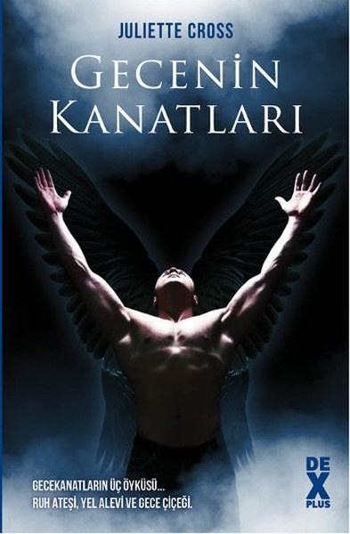 Gecenin Kanatları book cover