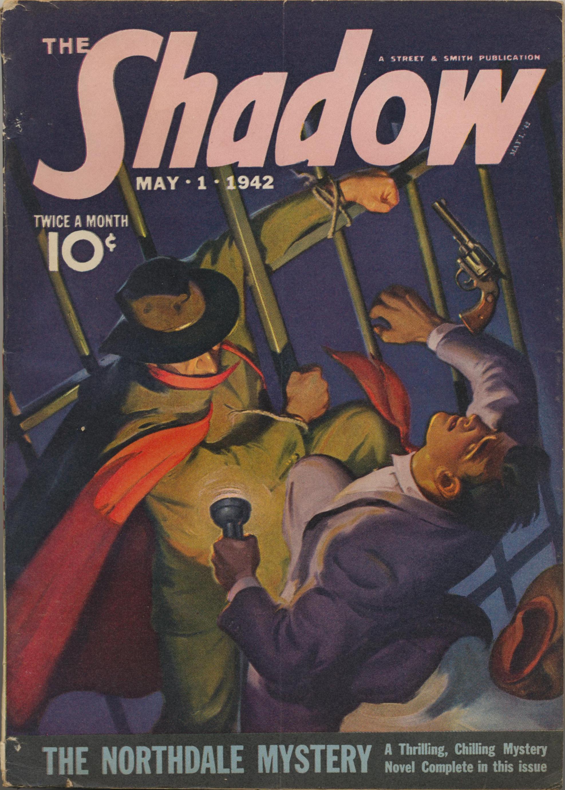 The Northdale Mystery book cover