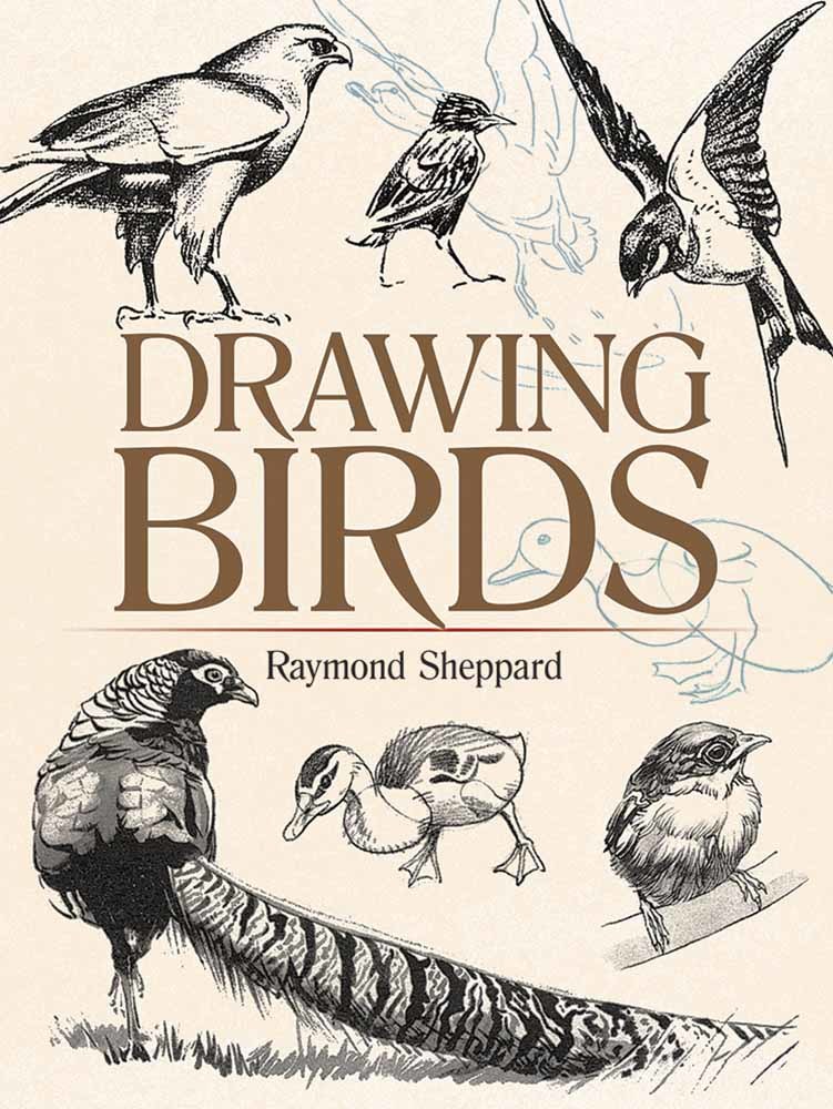 Drawing Birds (Dover Art Instruction) by Raymond Sheppard Goodreads
