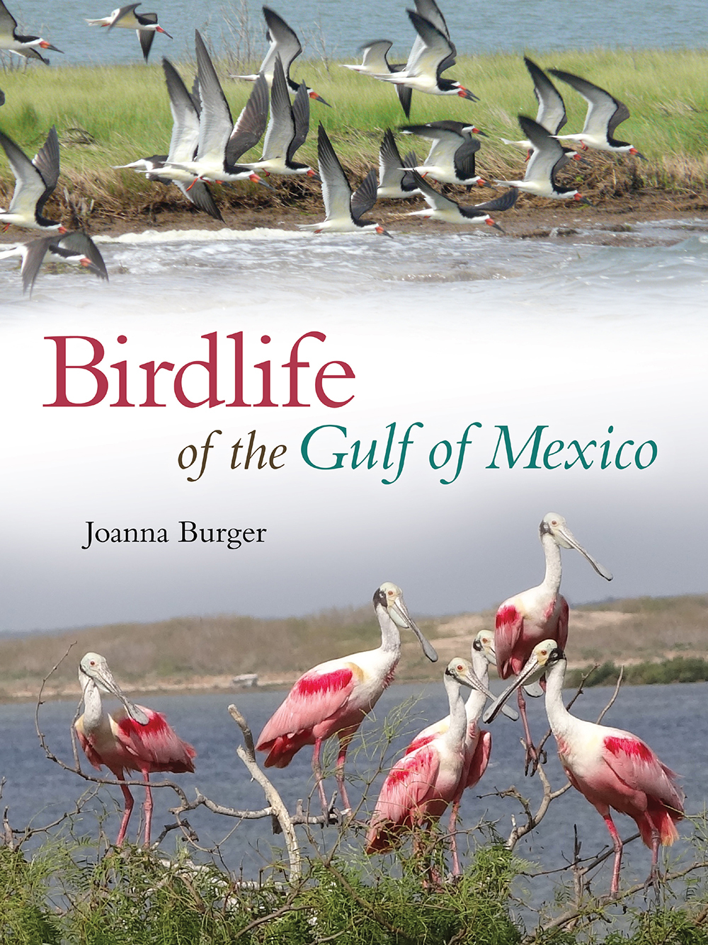 Birdlife of the Gulf of Mexico by Joanna Burger | Goodreads