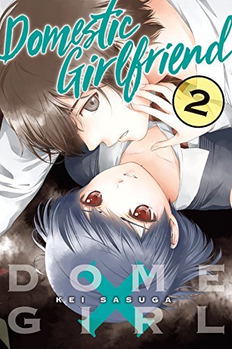 ドメスティックな彼女 [Domestic na Kanojo] book cover 2