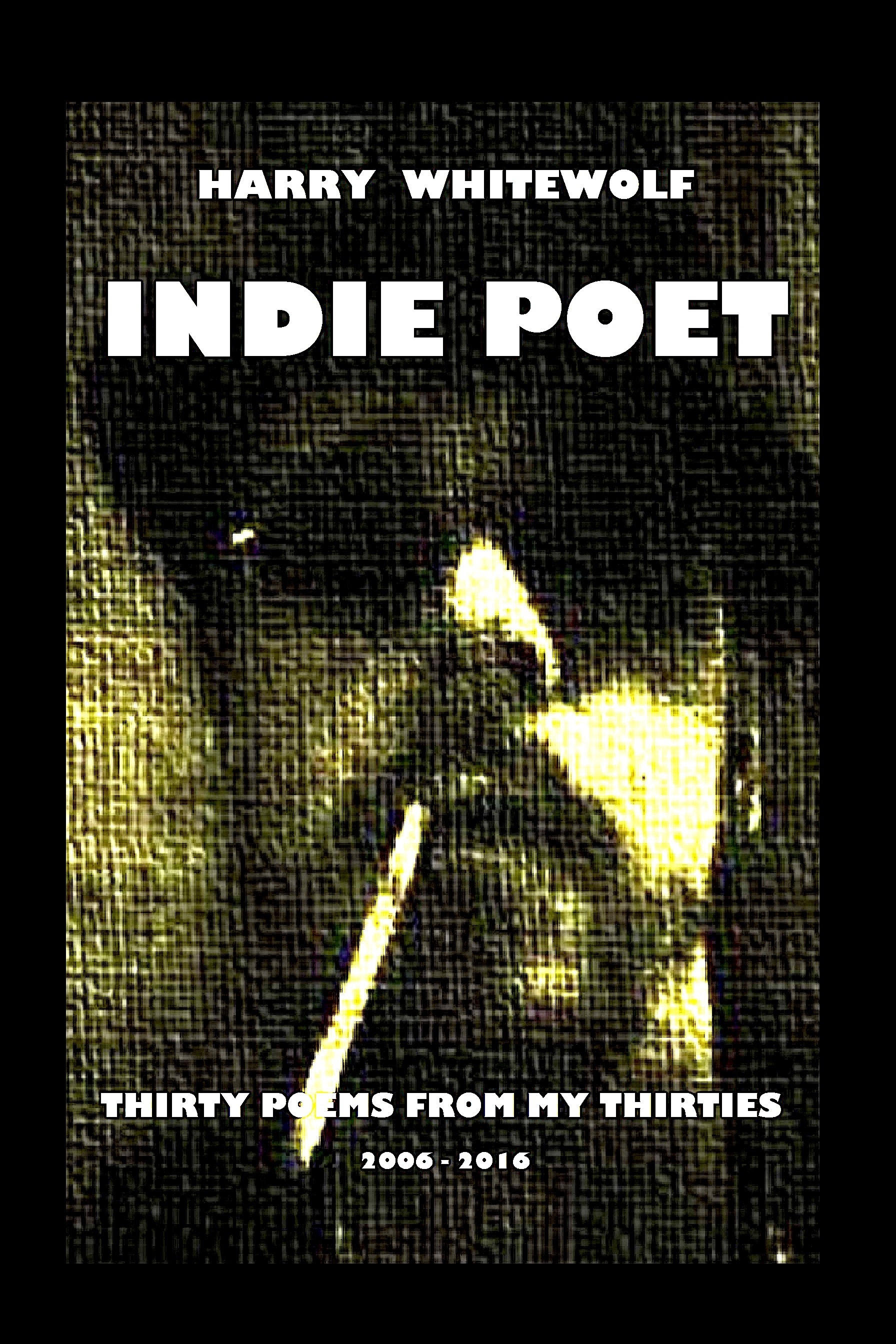 INDIE POET - Thirty Poems From My Thirties book cover