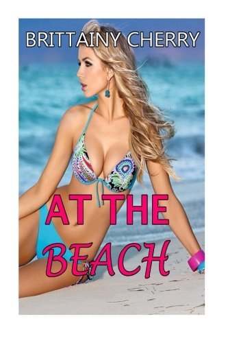 At the Beach book cover