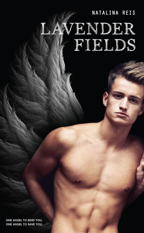 Lavender Fields book cover