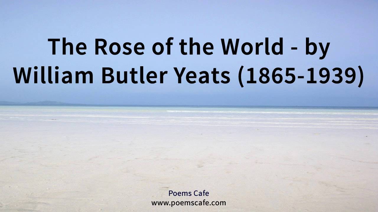 The Rose of the World book cover