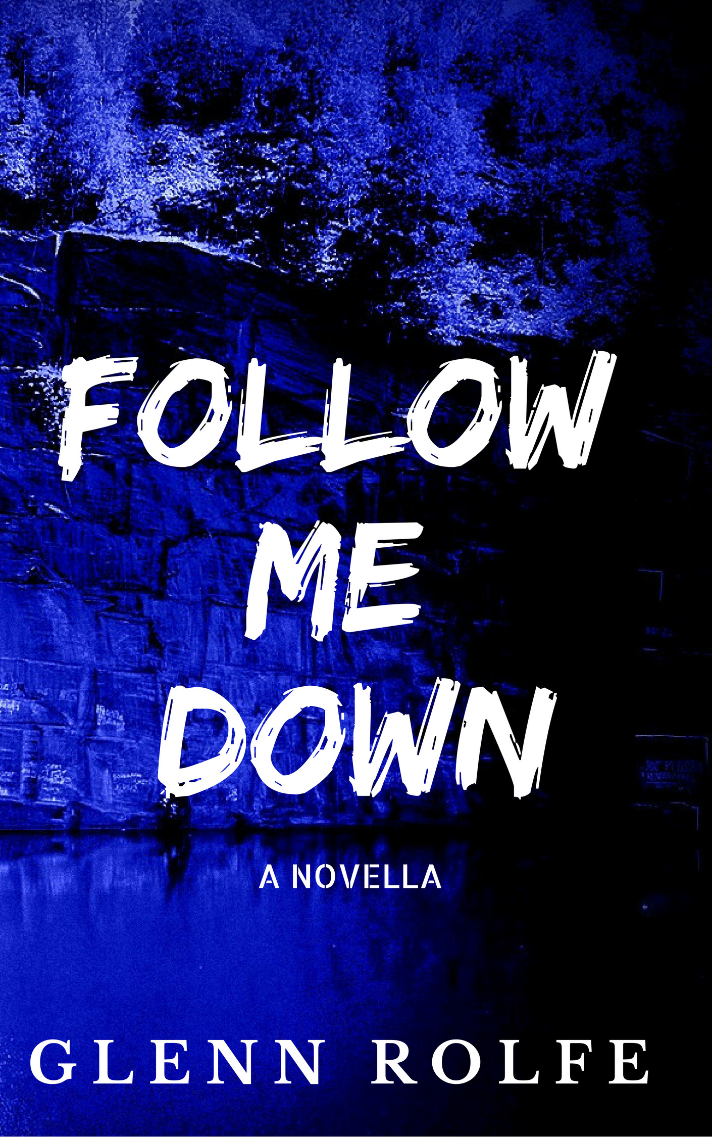 Follow Me Down book cover