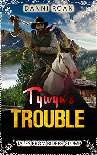 Tywyn's Trouble book cover