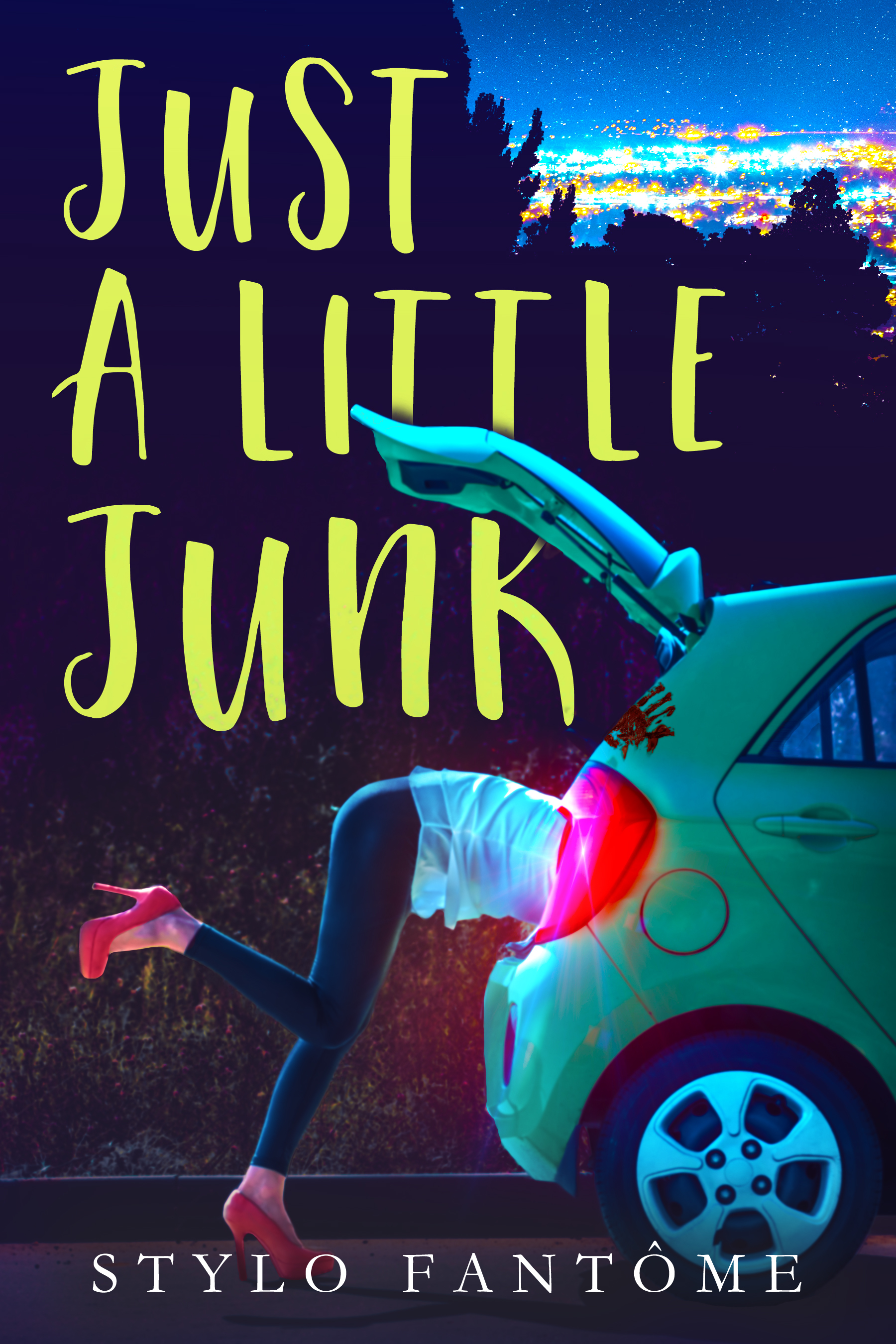 Just a Little Junk book cover