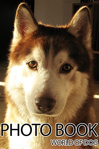 PHOTO BOOK WORLD OF DOG VOL.1: Dog Book, Photography by Angelo Ryker ...