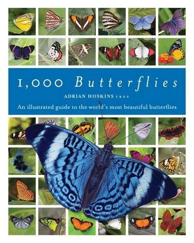 1,000 Butterflies: An Illustrated Guide to the World's Most