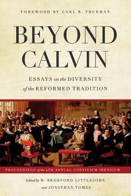 Beyond Calvin book cover