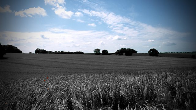 Scott Cherry Saturday Playhouse - The Book Of Shadows