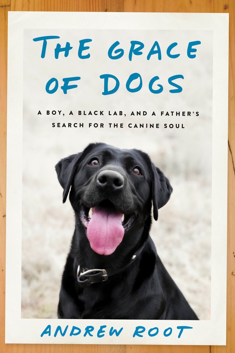 The Grace of Dogs book cover