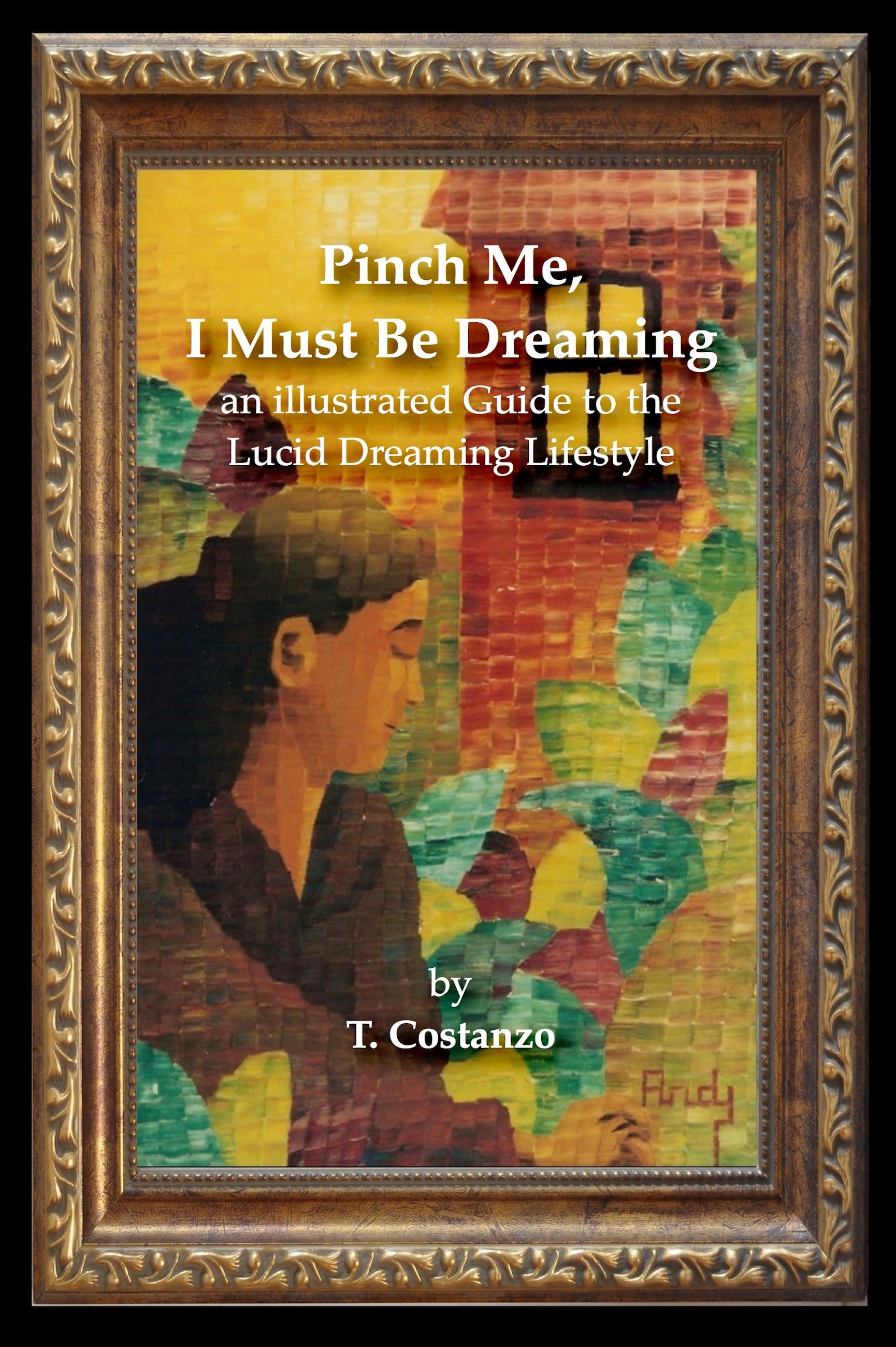 Pinch me, I must be Dreaming: An illustrated Guide to the Lucid