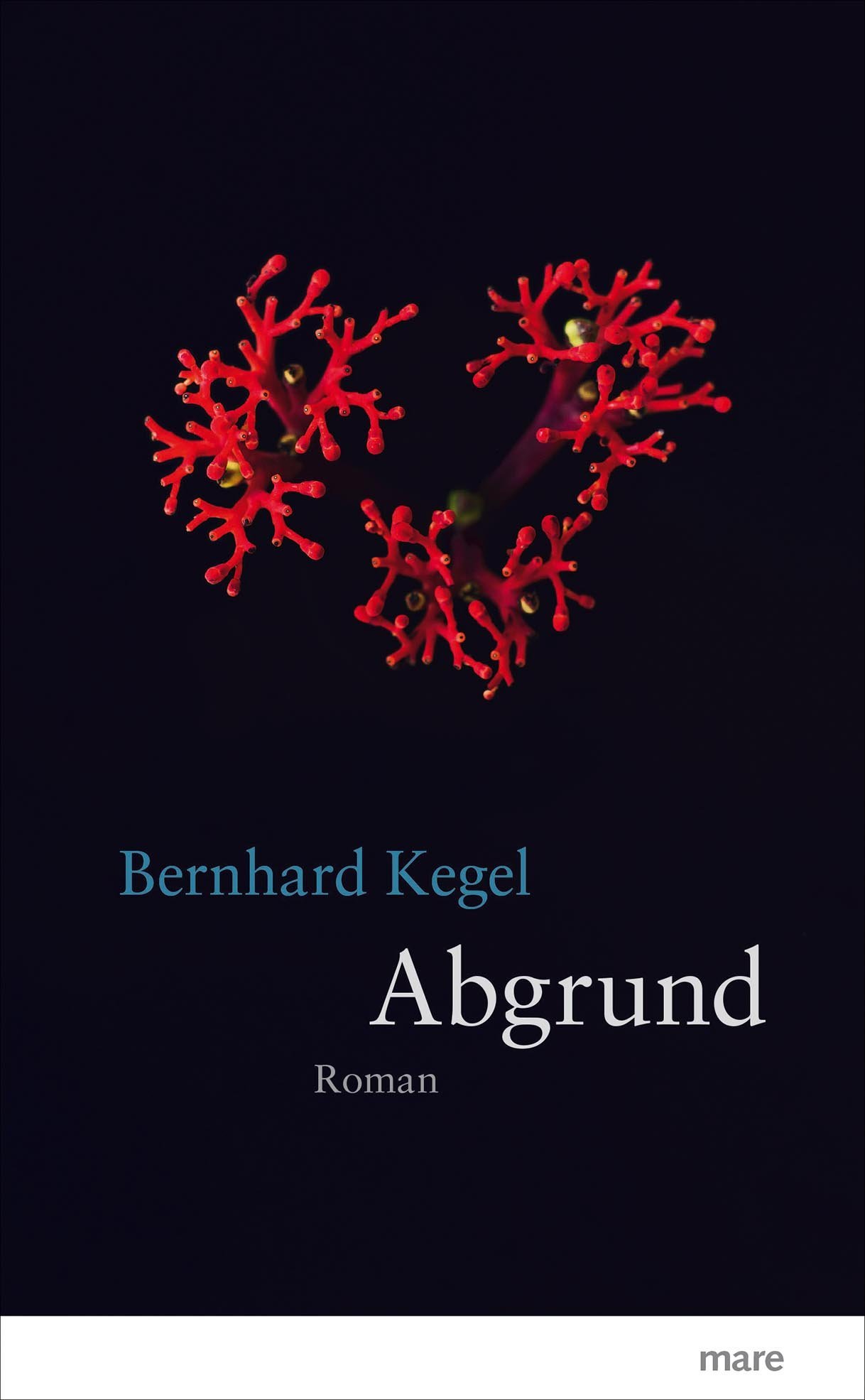 Abgrund book cover