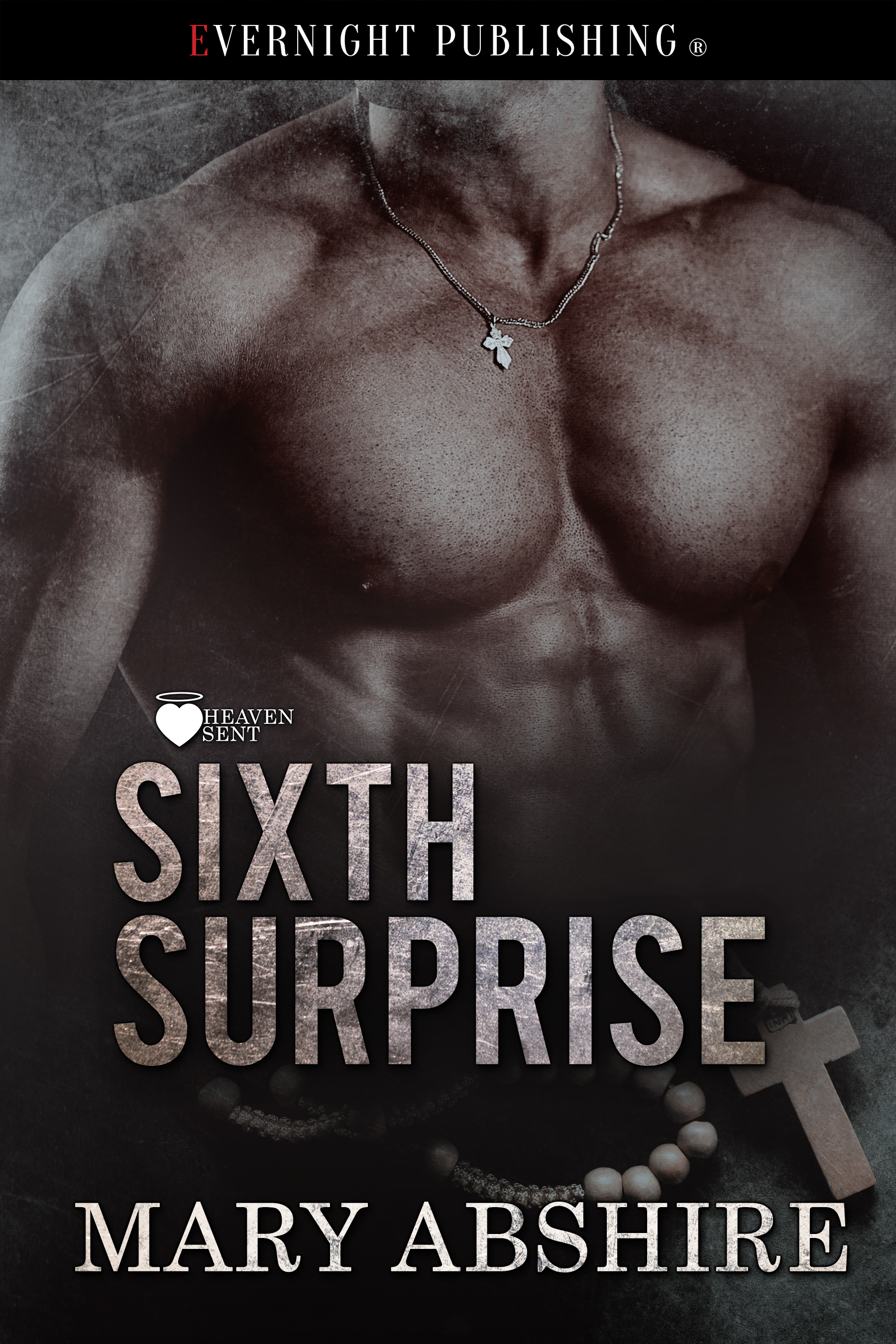 Sixth Surprise book cover