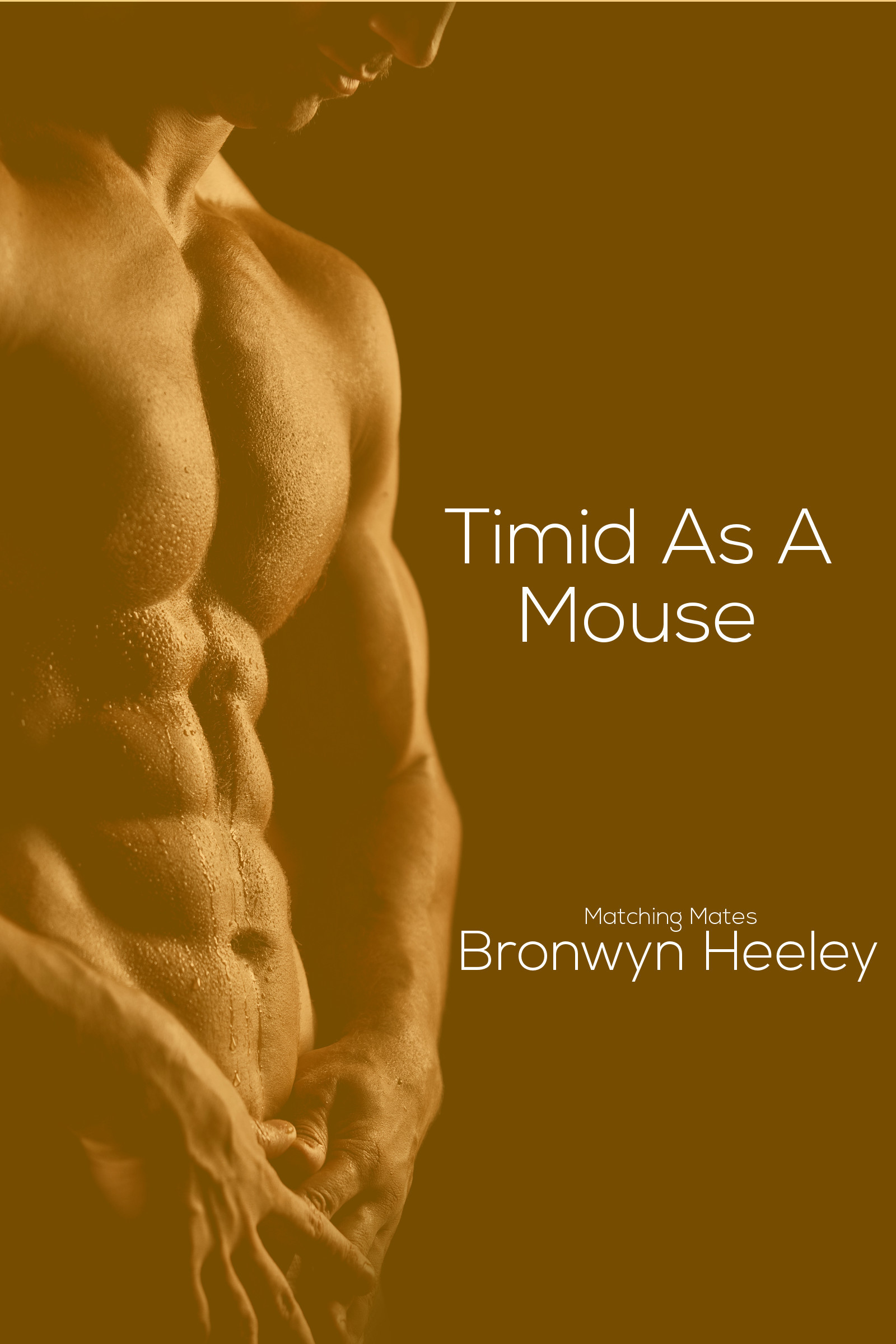 Timid as a Mouse (Matching Mates 3) by Bronwyn Heeley Goodreads