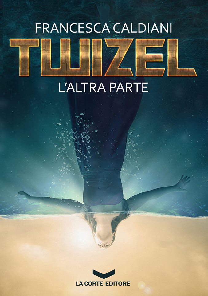 Twizel book cover 1