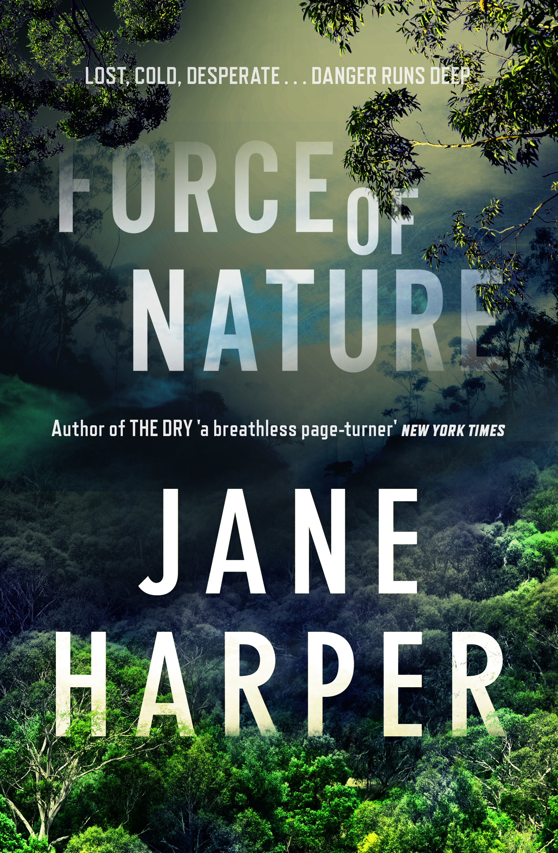 Force of Nature (Aaron Falk, #2)