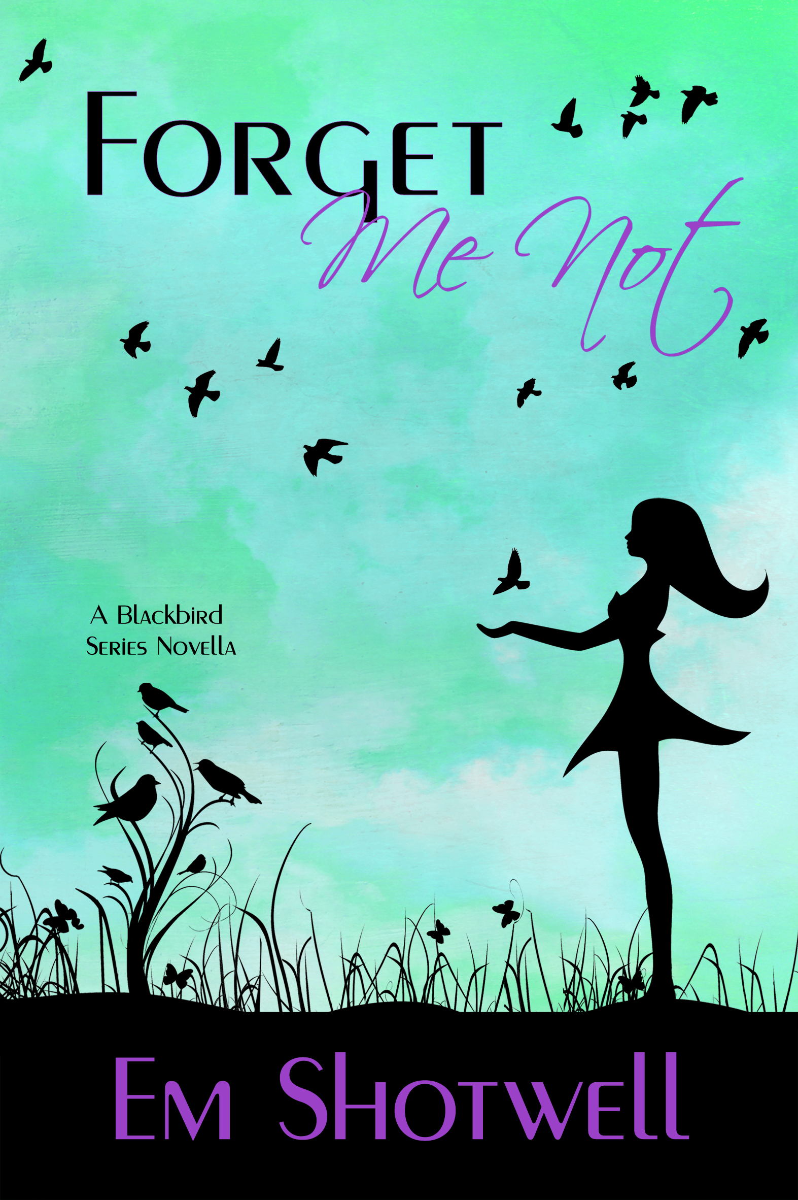 Blackbird book cover 3
