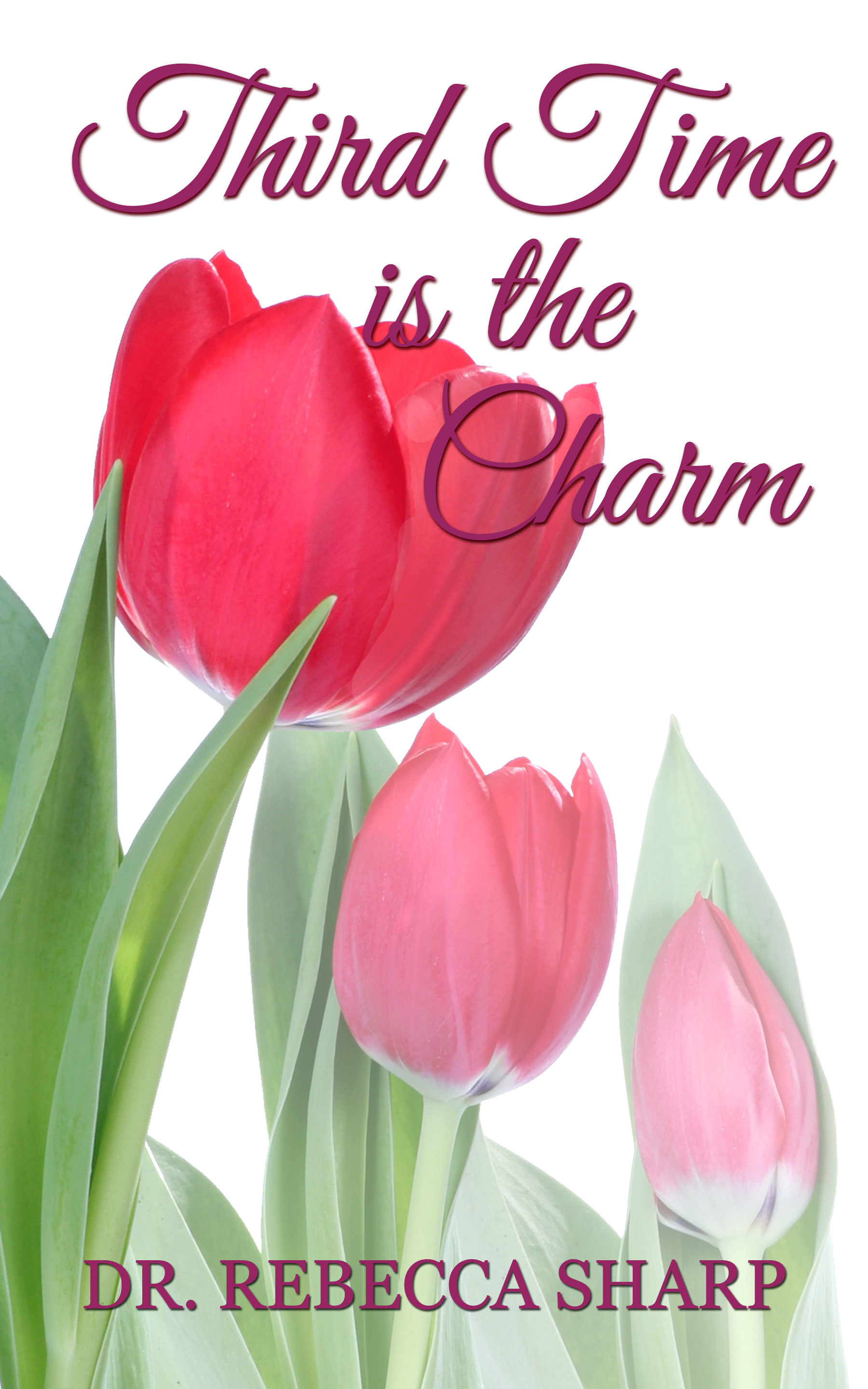 Passion and Perseverance book cover 3