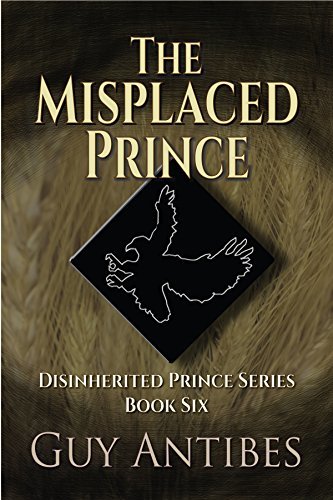 The Misplaced Prince book cover