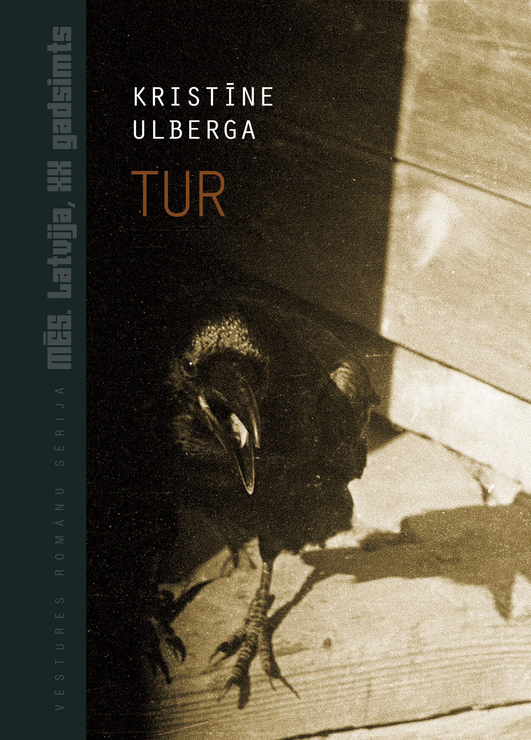 Tur book cover