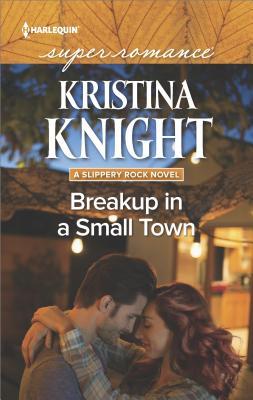 Breakup in a Small Town book cover