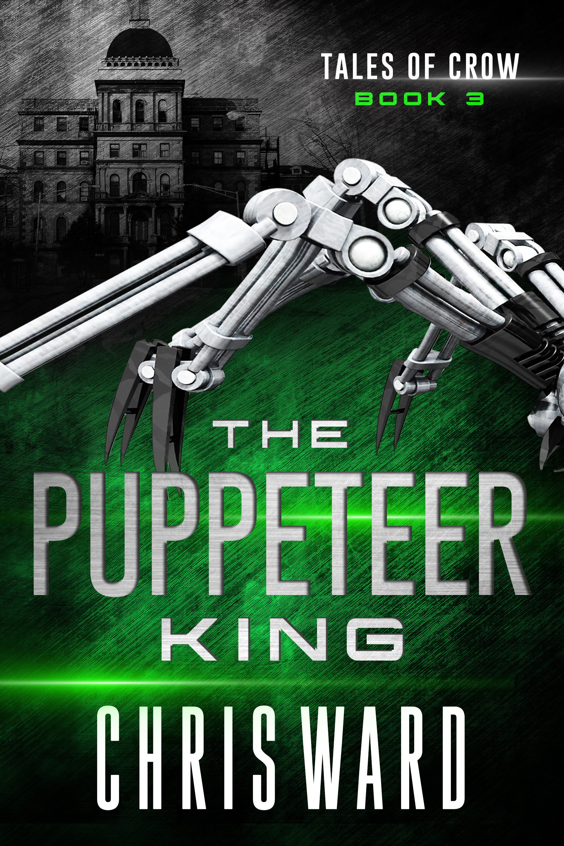 The Puppeteer King book cover