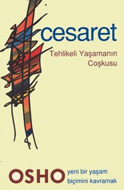 Cesaret Tehlikeli Yasamanin Coskusu book cover