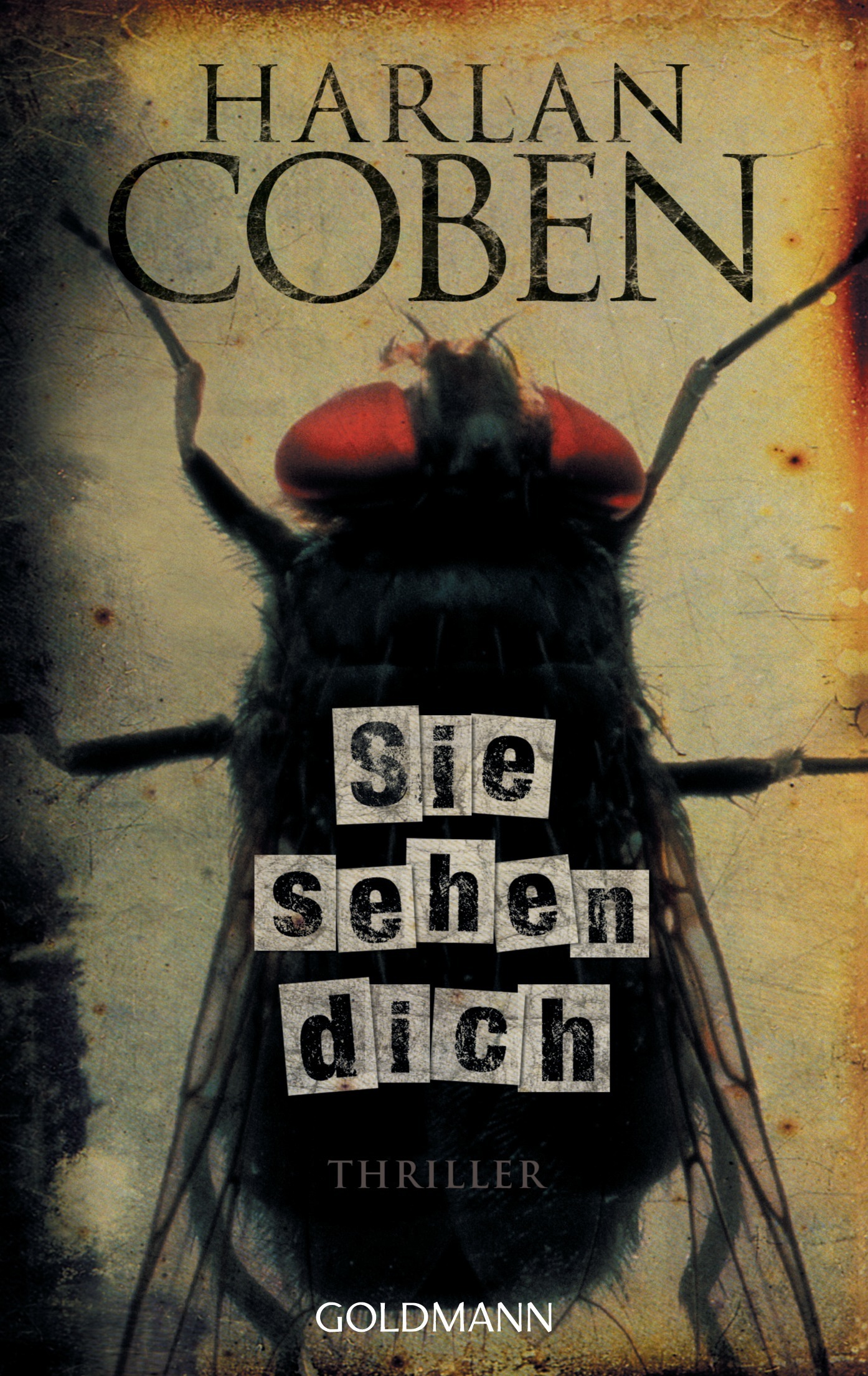 rezensionen für sie sehen dich