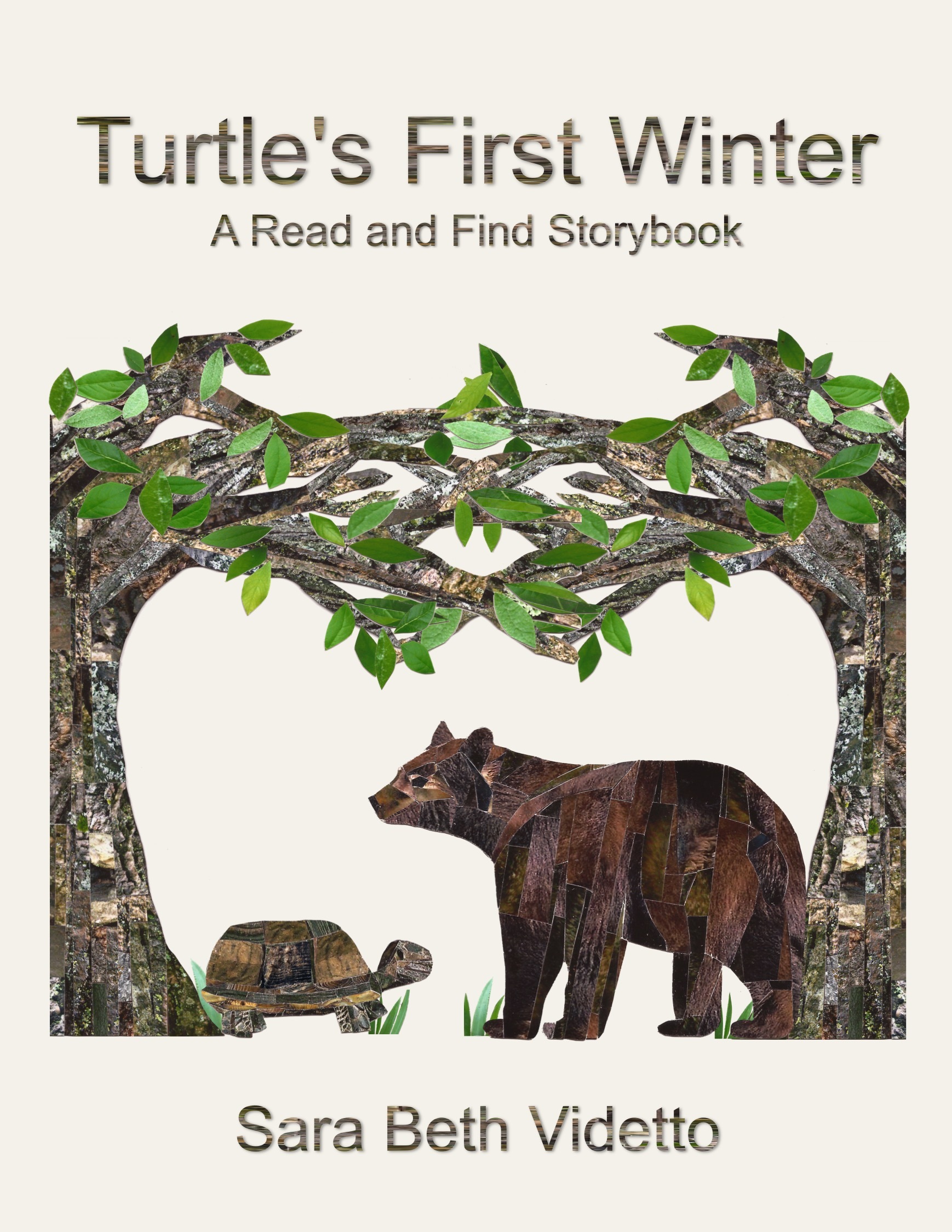 Turtle S First Winter A Read And Find Storybook By Sara Beth Videtto