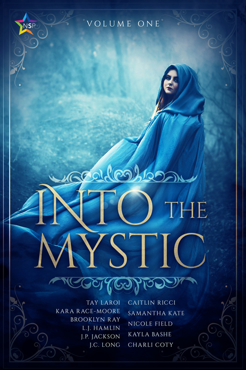 Into the Mystic book cover 1