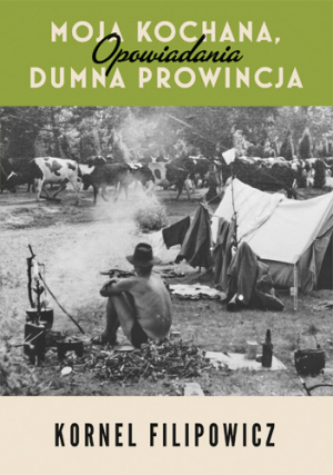 Moja kochana, dumna prowincja. Opowiadania book cover