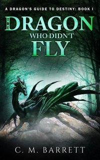 The Dragon Who Didn't Fly by C.M. Barrett | Goodreads
