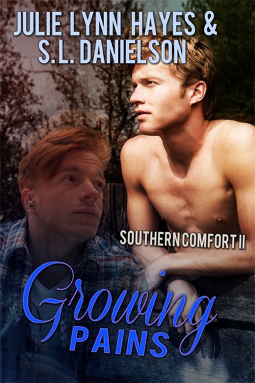 Southern Comfort book cover 2